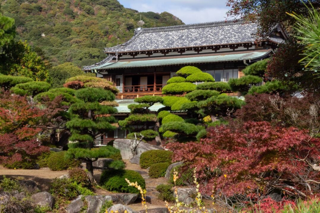 🌳 모리 씨 정원(모리시테이엔)